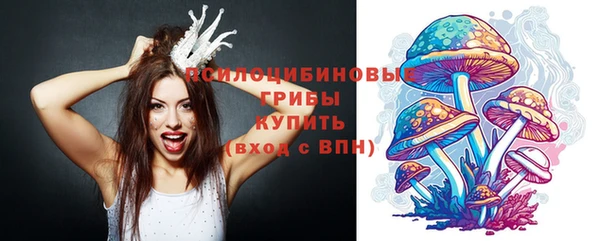 альфа пвп Краснотурьинск