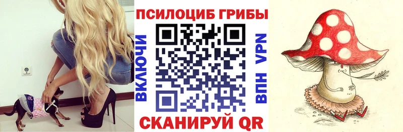 Галлюциногенные грибы Psilocybine cubensis  Липецк 